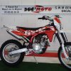 RS 300 R SWM